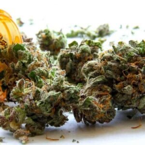 Kentucky Durban Marijuana Strain
