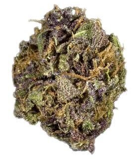Purple Berry Marijuana Strain